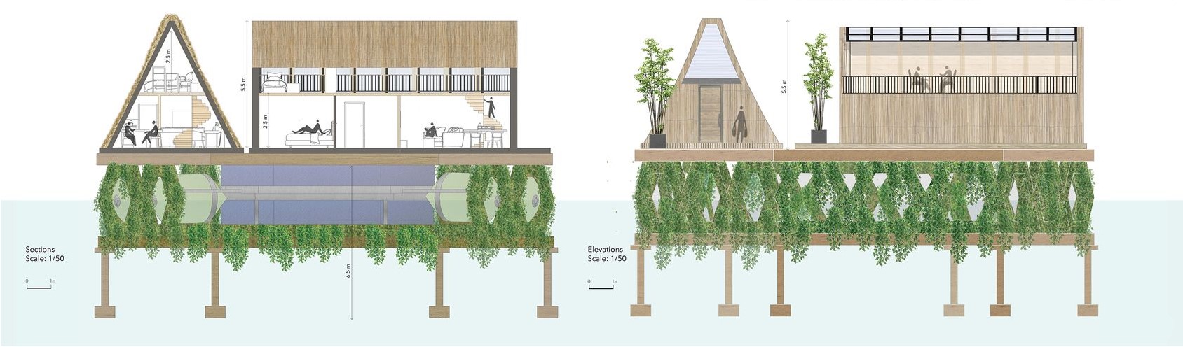 Elevated house sections showcasing sustainable design elements.