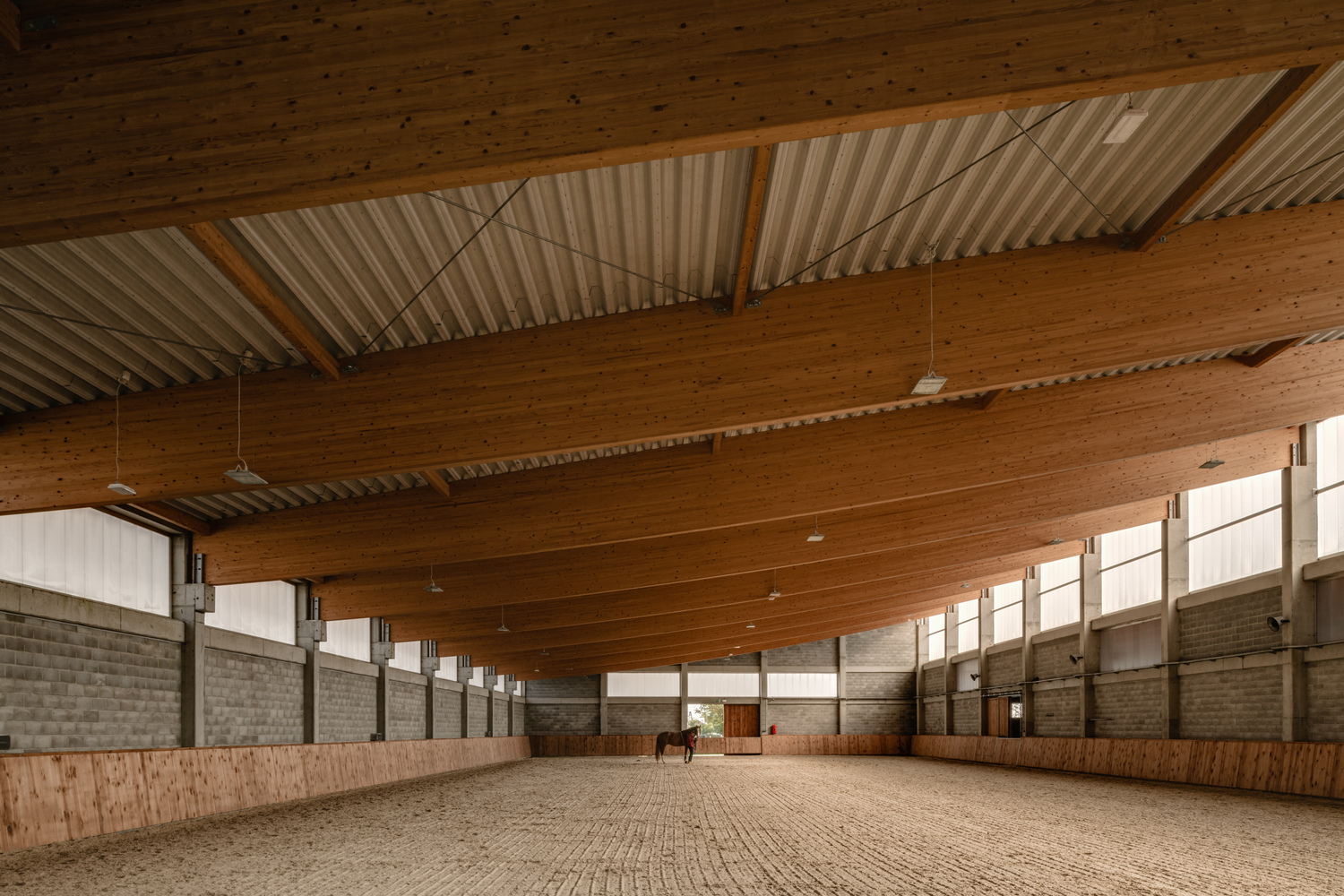 Uni.xyz2024 05 23T12 29 52 352674