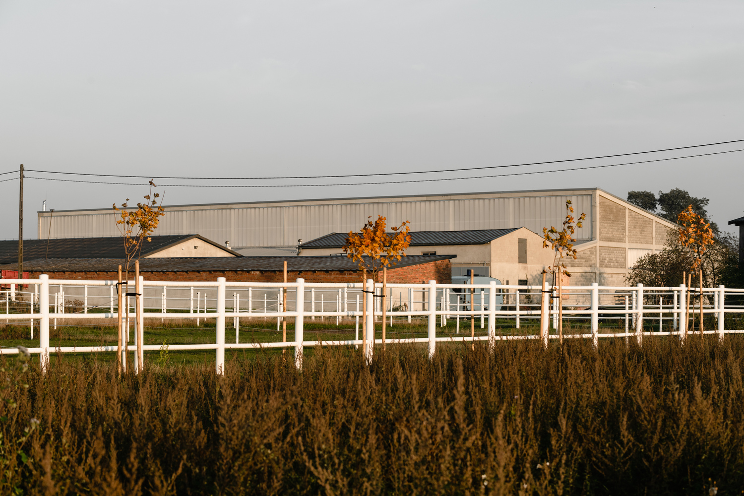 Uni.xyz2024 05 23T12 31 58 906743