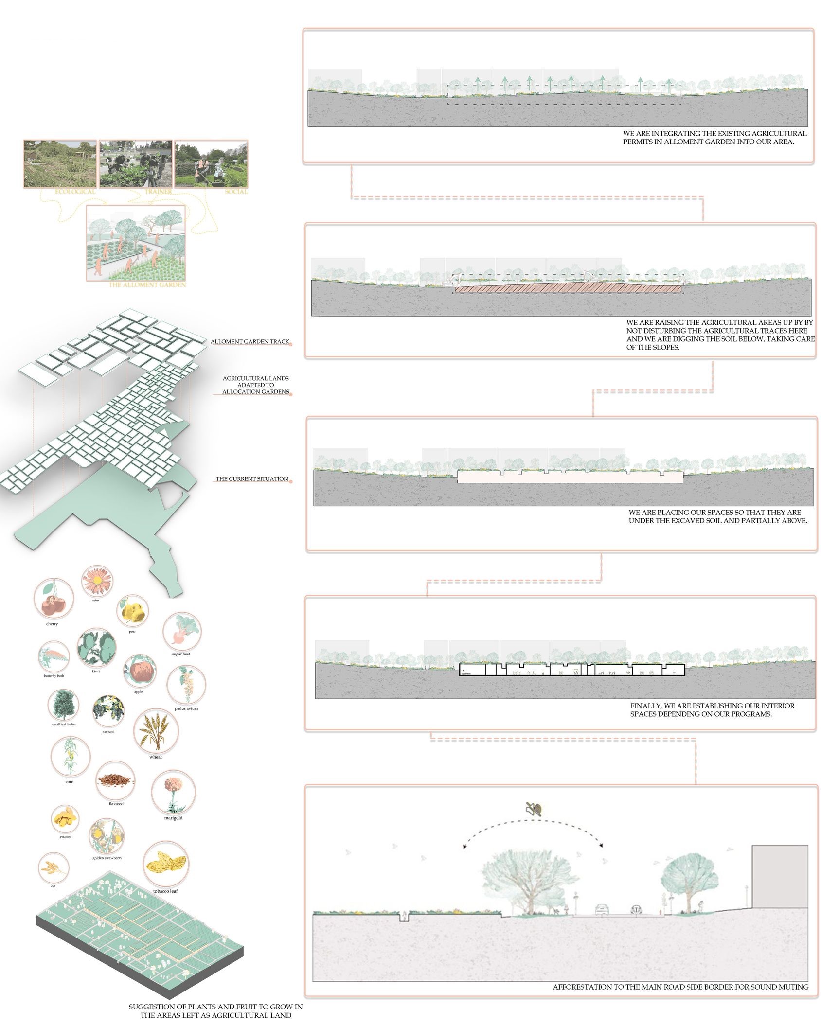 Sectional views of Verdant's agricultural and learning spaces.