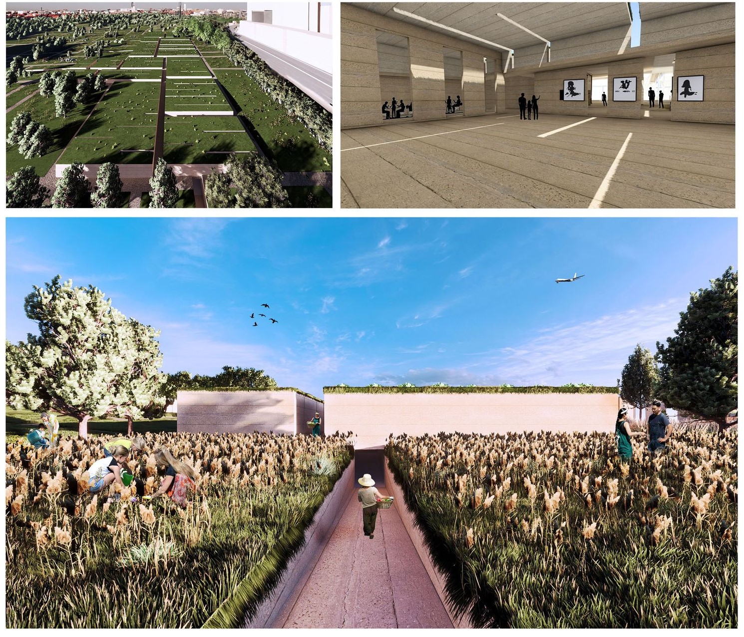 Verdant's agricultural fields, indoor learning spaces, and community areas.