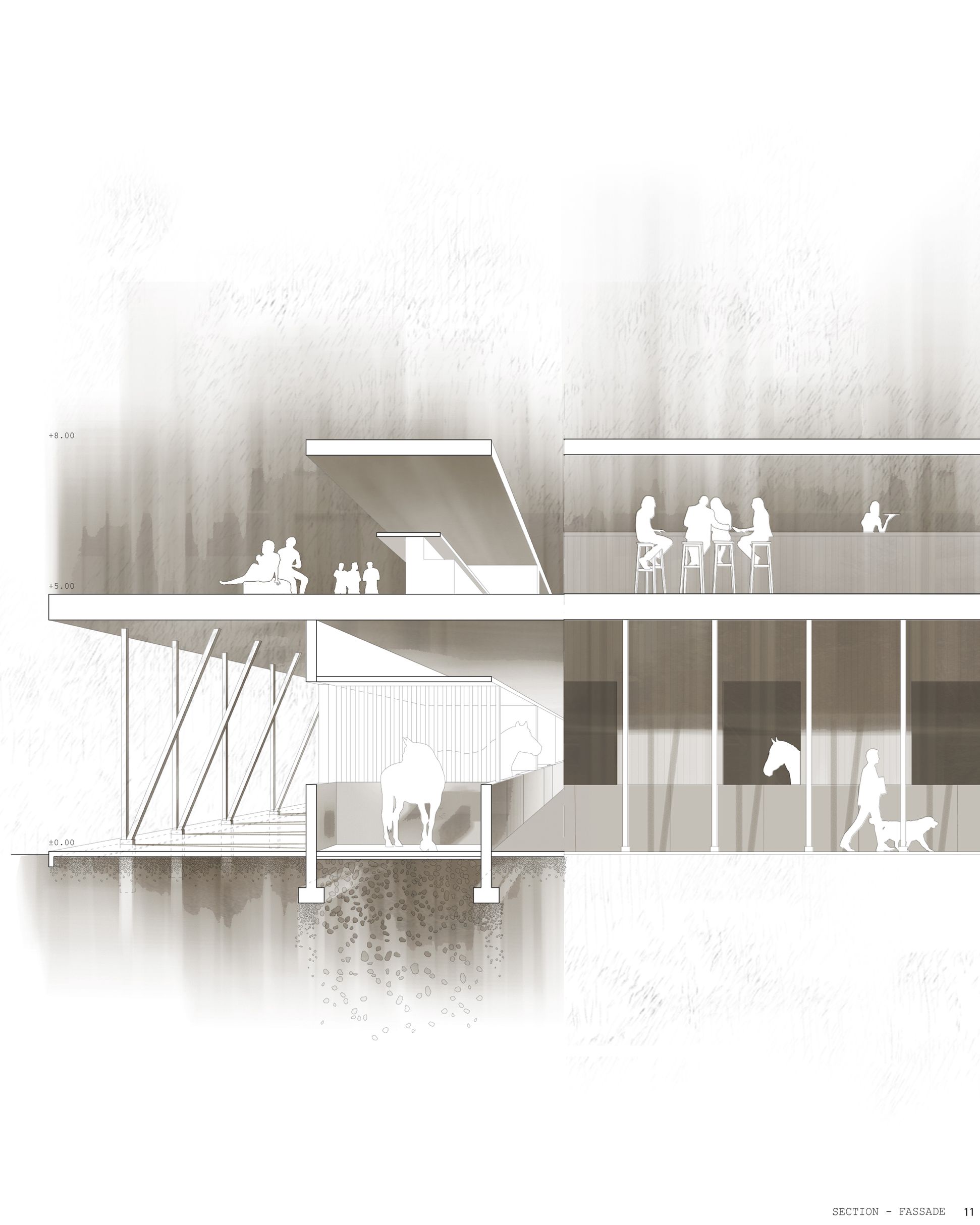 Seamless integration of equestrian facilities with communal spaces at Pantheon Paddocks.