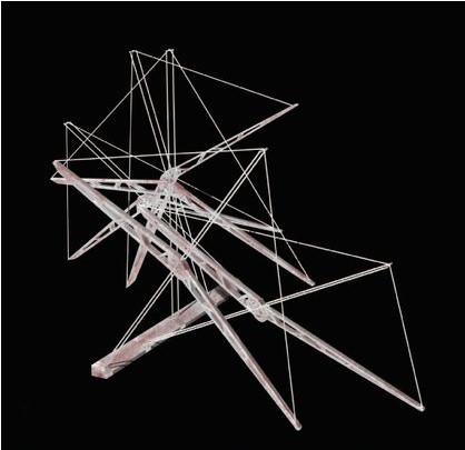 Martian Vein: Water vapor collector structural design.