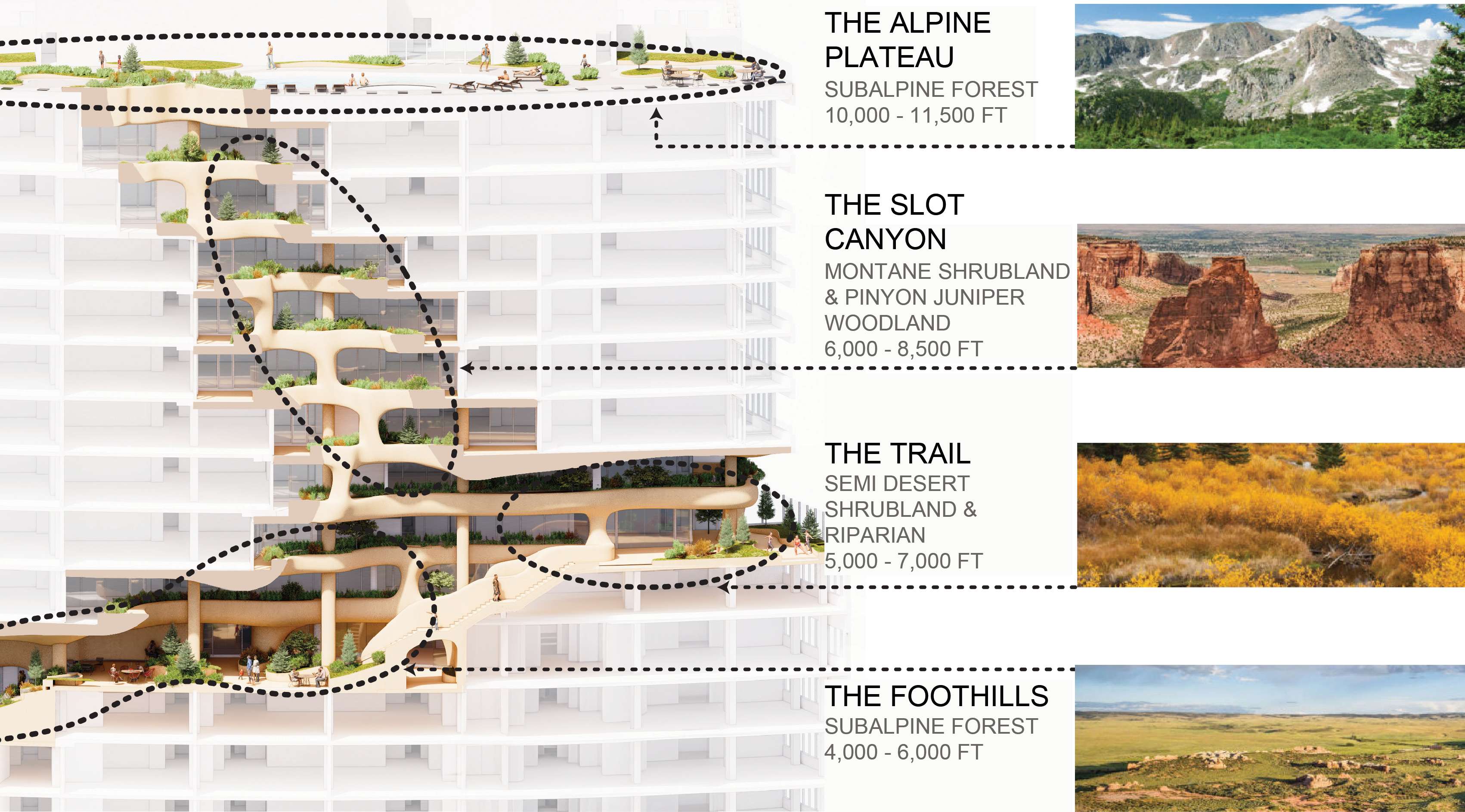 Planting Diagram