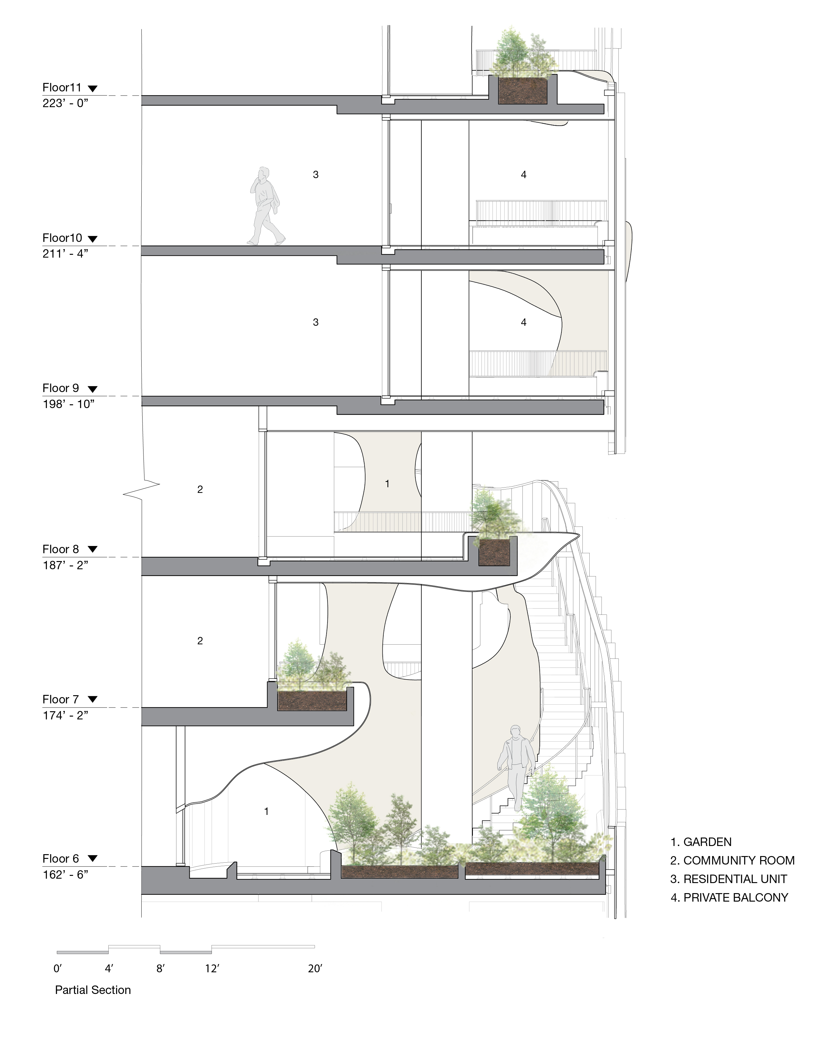 Partial Section