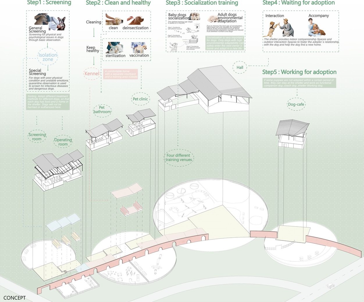 Doggy daycare floor plan