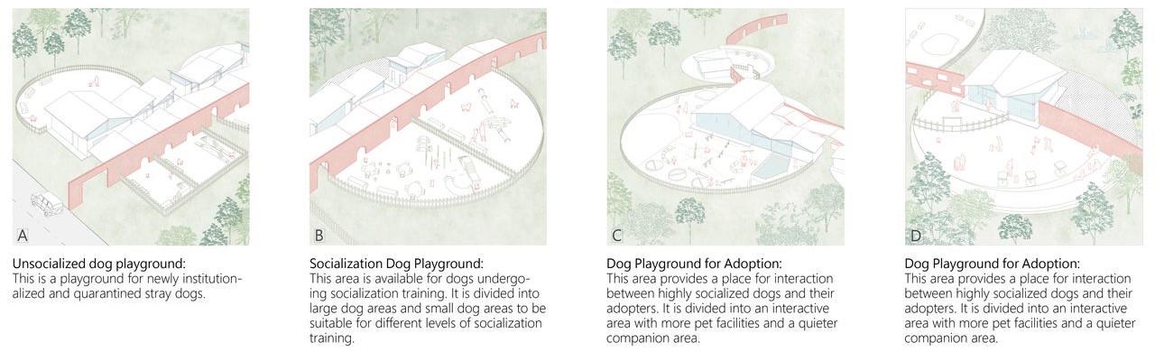 Dog playground stages