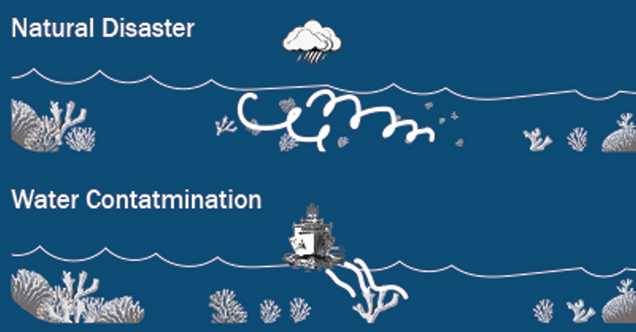 Illustration depicting impacts of natural disasters and water contamination on coral reefs.