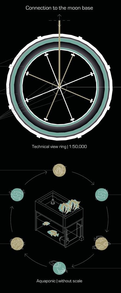 Technical view of MOONWARTS ring and aquaponic system.