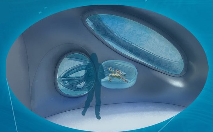 Marine wildlife clinic interior view