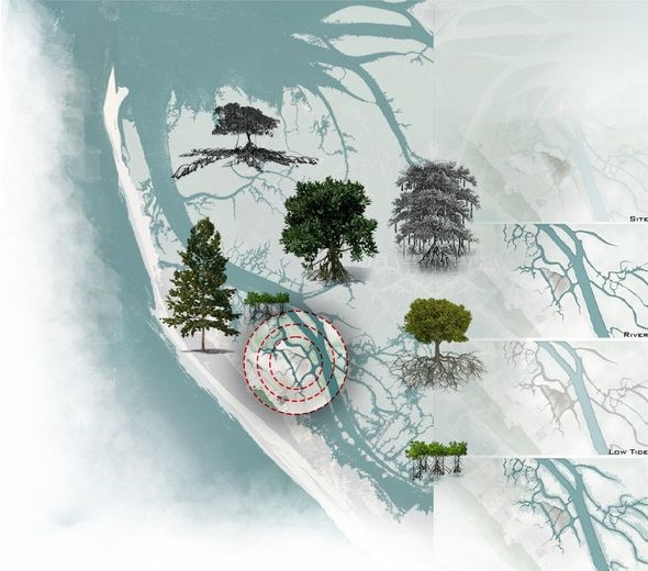 Sonadia's delicate ecosystem: Preserving biodiversity through mindful design.