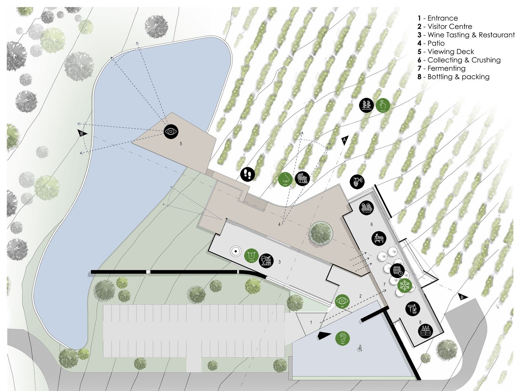 Ground floor plan detailing winery's main features and layout.