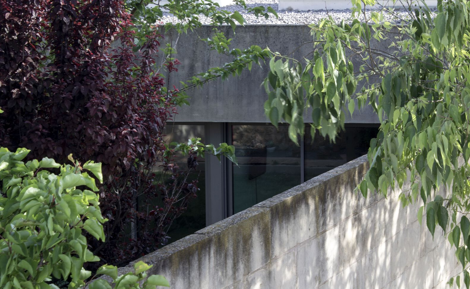 Uni.xyz2024 05 23T16 59 25 872728