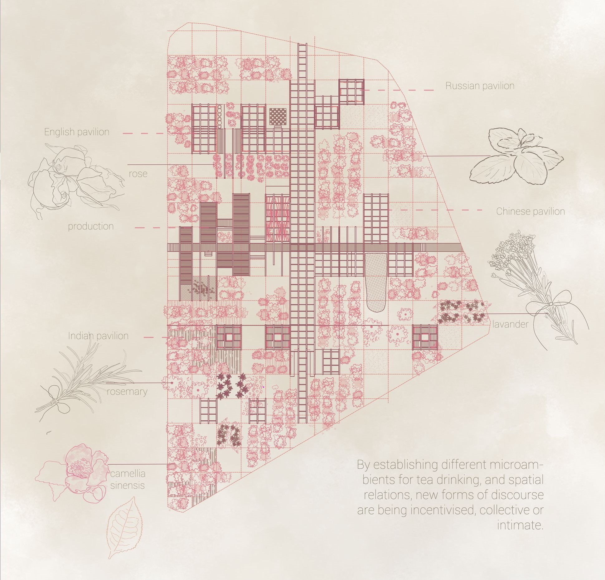 Tea pavilion blueprints: Diverse spaces encourage cultural exchange.