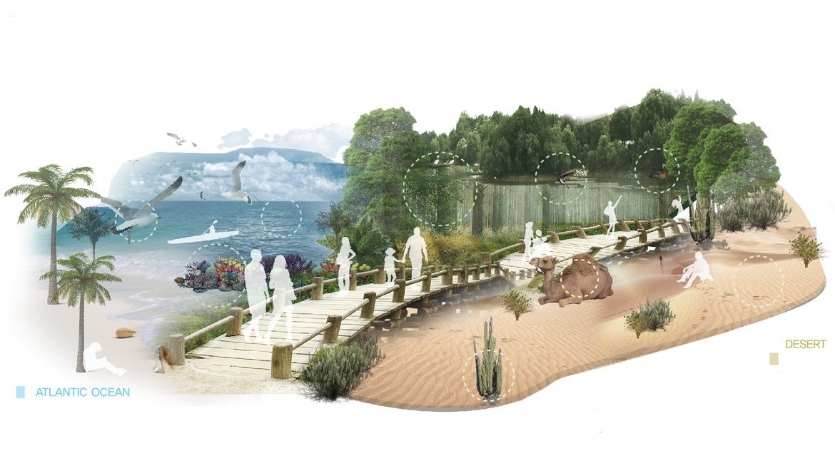 Brazil's beauty: Ocean to desert, diverse journey.