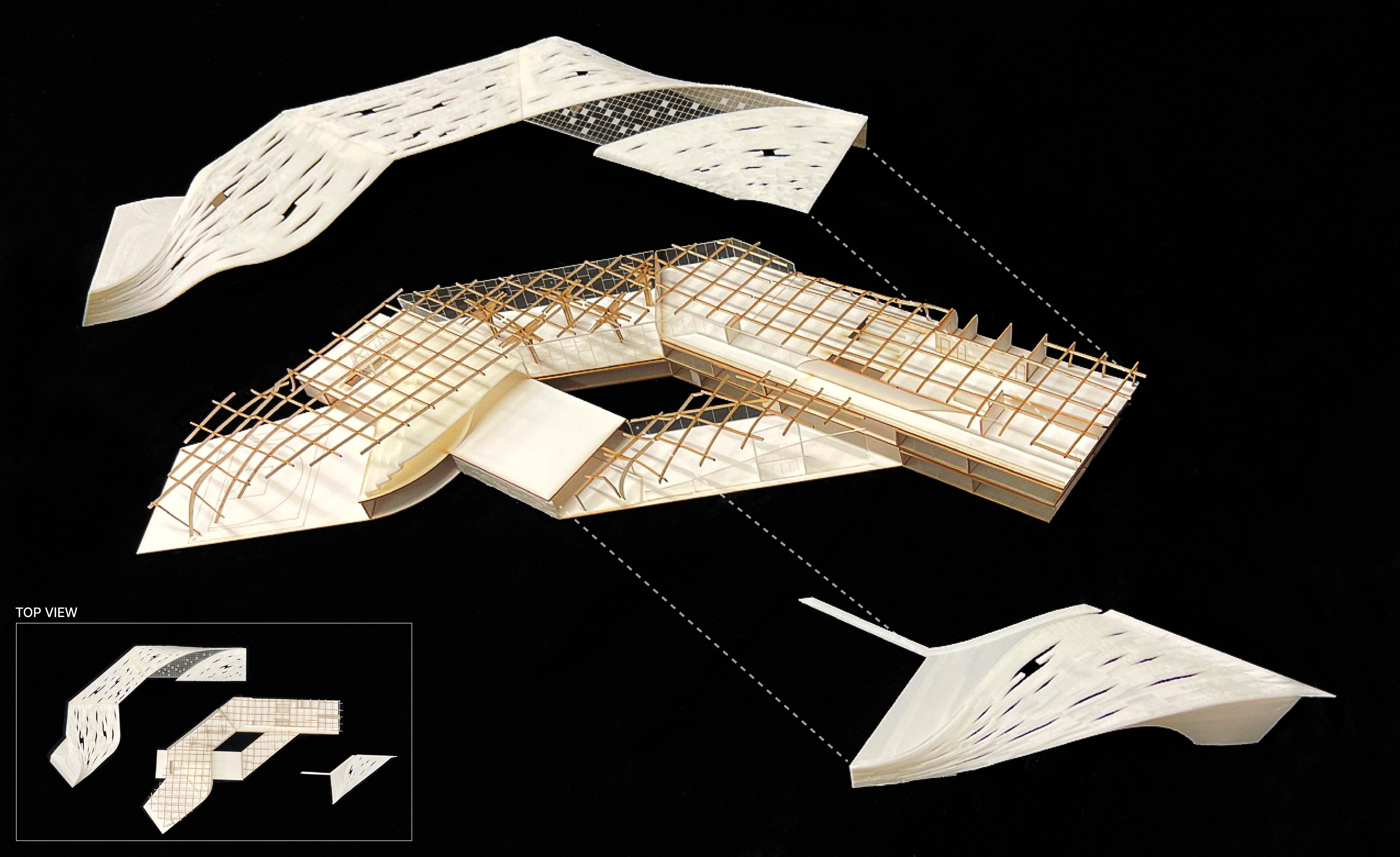 ROOF - STRUCTURE(main space) - ROOF : Harmony of structure, roof pattern, and skylight