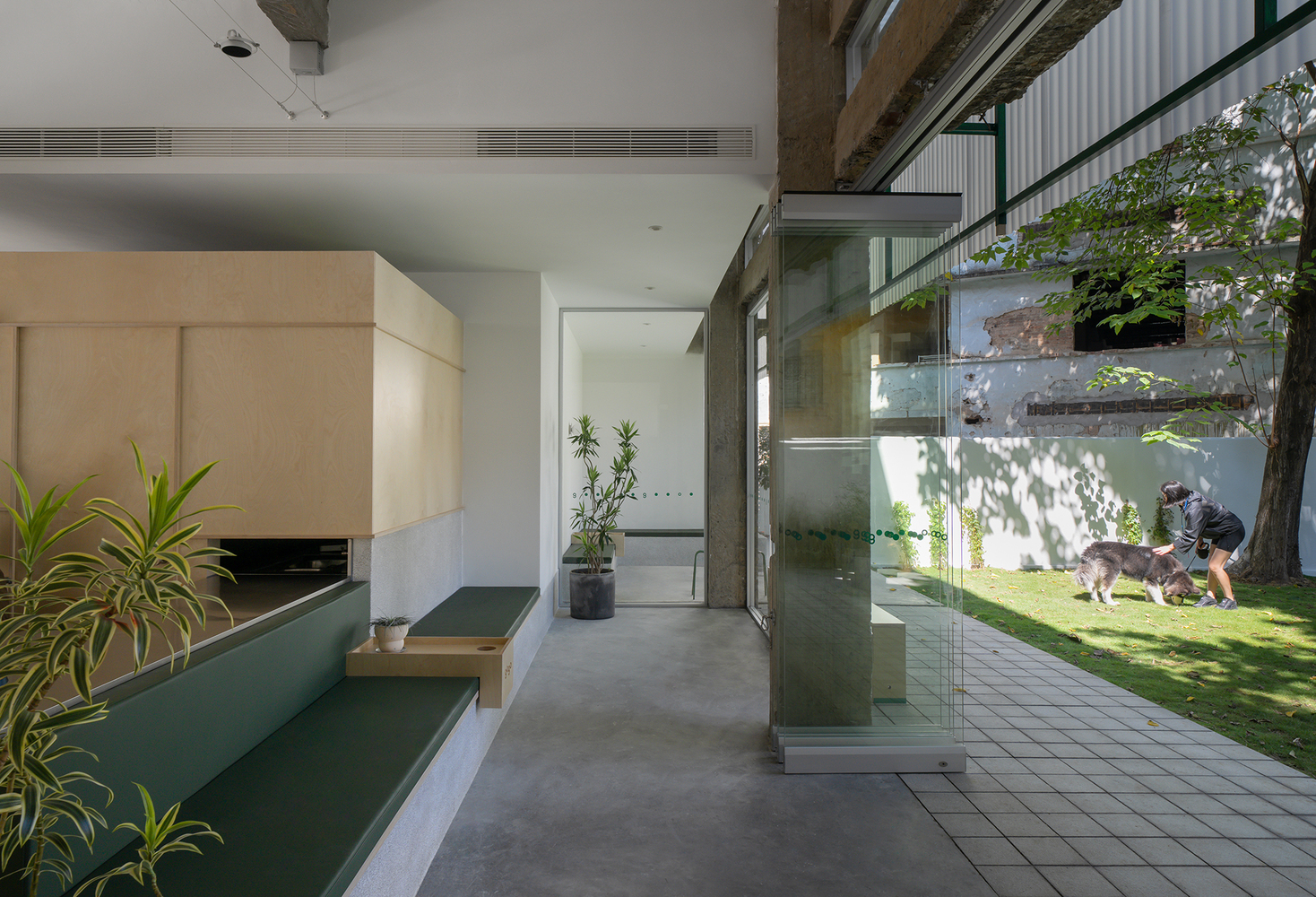 All Photographs are work of :Chao Zhang