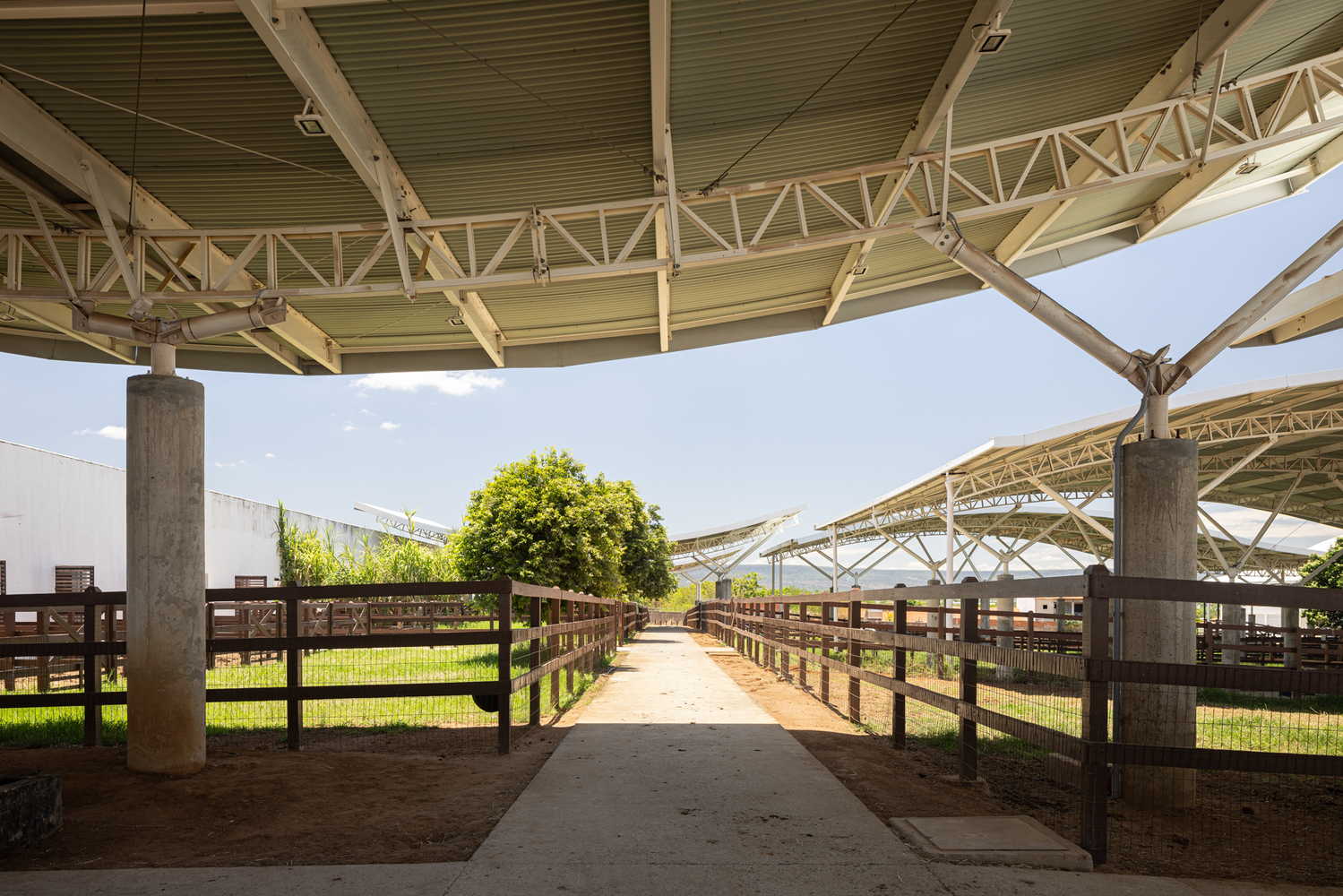 All Photographs are work of :JoanaFrança