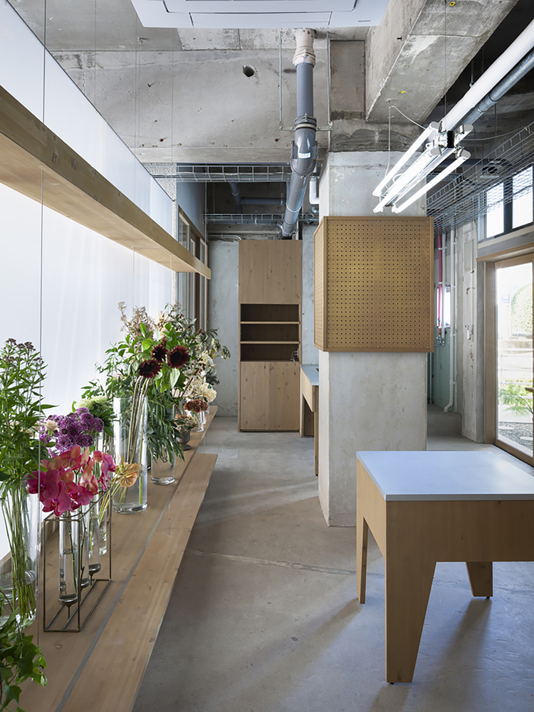 All Photographs are work of Lemmart