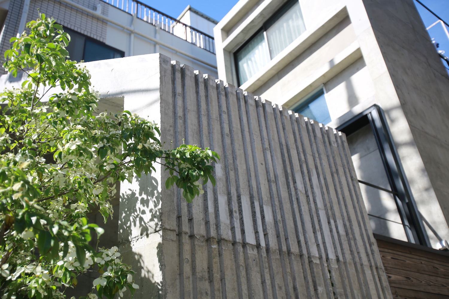 All Photographs are workk ofSOBAJIMA, Toshihiro, Nishikubo Taketo