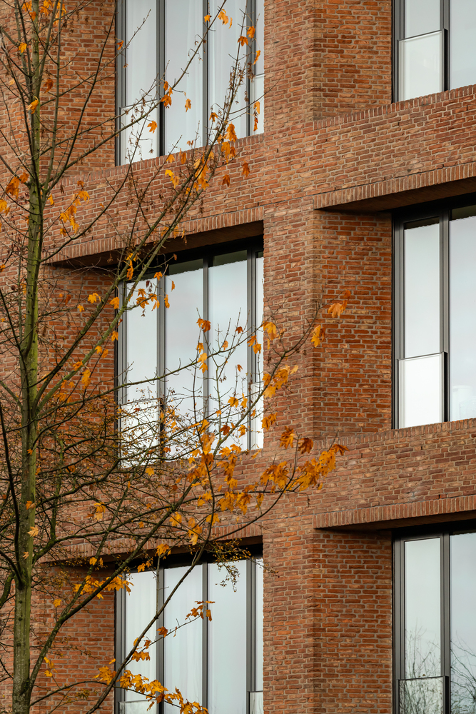 Picture of Adaptive Reuse in Interior Design: Transforming Spaces with