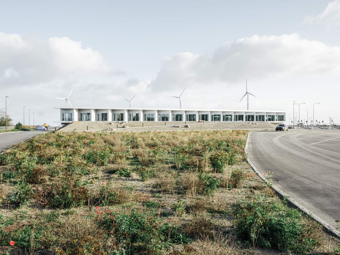 All Photographs are work of Morten Olivarius