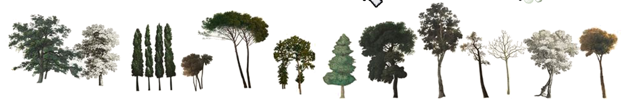 Diverse tree species used in the landscape design to complement the eco-friendly architecture and enhance the natural surroundings of the site.