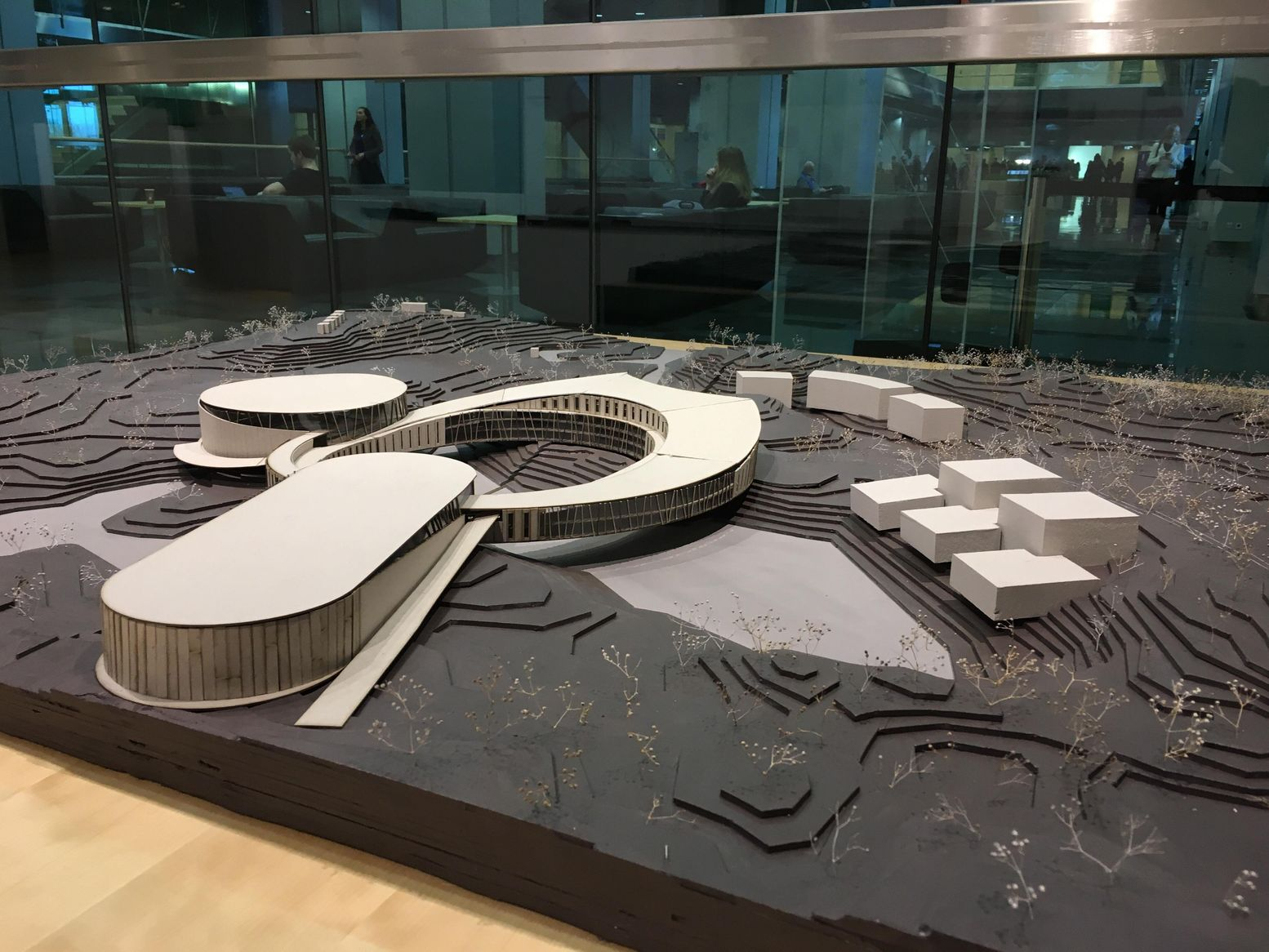 Site model of a ring-shaped building with oval white roofs, cube-shaped dormitory blocks and layered contours behind a glass partition