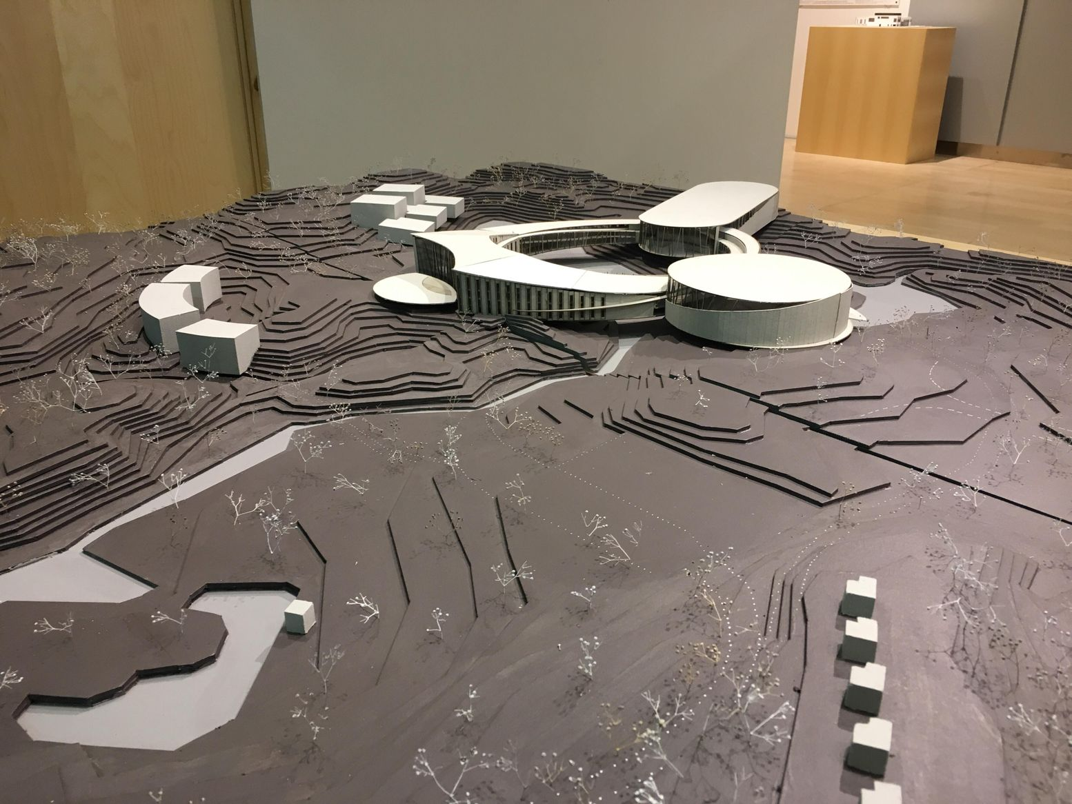 Wide view of a contour site model with the looped white-roofed building at the back, scattered cube blocks and small wire trees