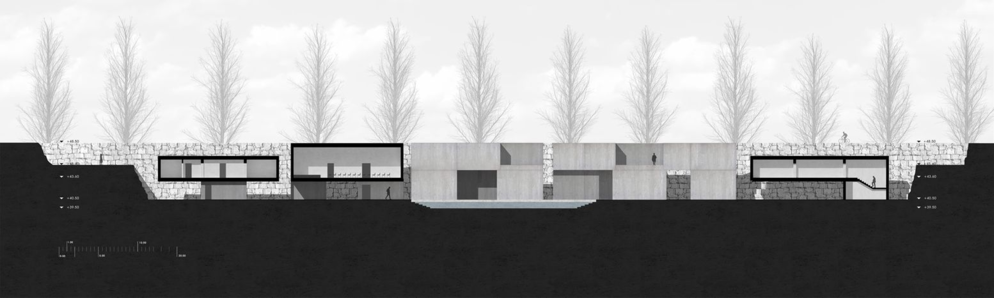 Sectional view highlighting integration of landscape and architecture.