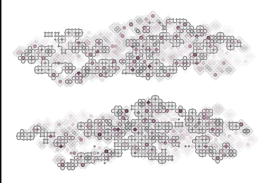 The evolution and expansion of the habitat over time.
