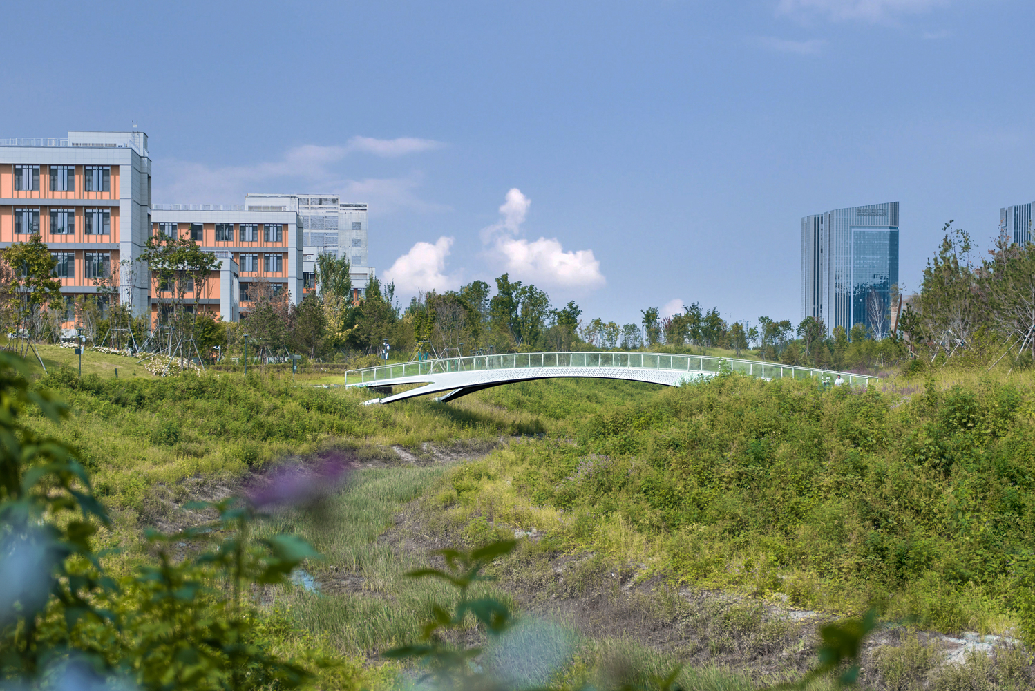 Jingyue Central Park: Transforming Urban Spaces with