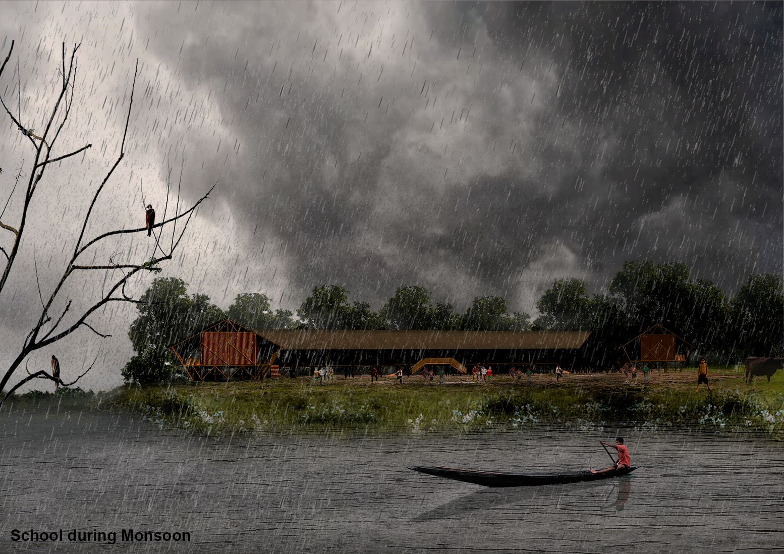 School during Monsoon: A resilient structure designed to withstand seasonal challenges in Hakaluki Haor