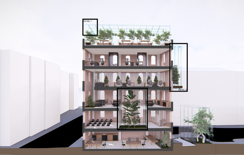 A cross-sectional view of Co-Biophilic, showcasing its biophilic design and sustainable transformation into a vibrant co-working space.