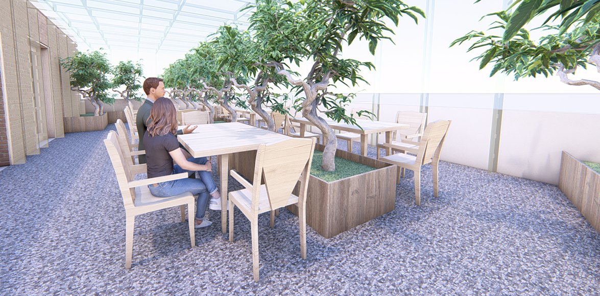 Rooftop cafeteria surrounded by nature – a perfect example of biophilic design promoting connection and collaboration.