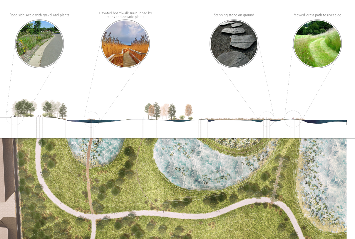Design elements feature swales, boardwalks, stepping stones, and mowed paths.