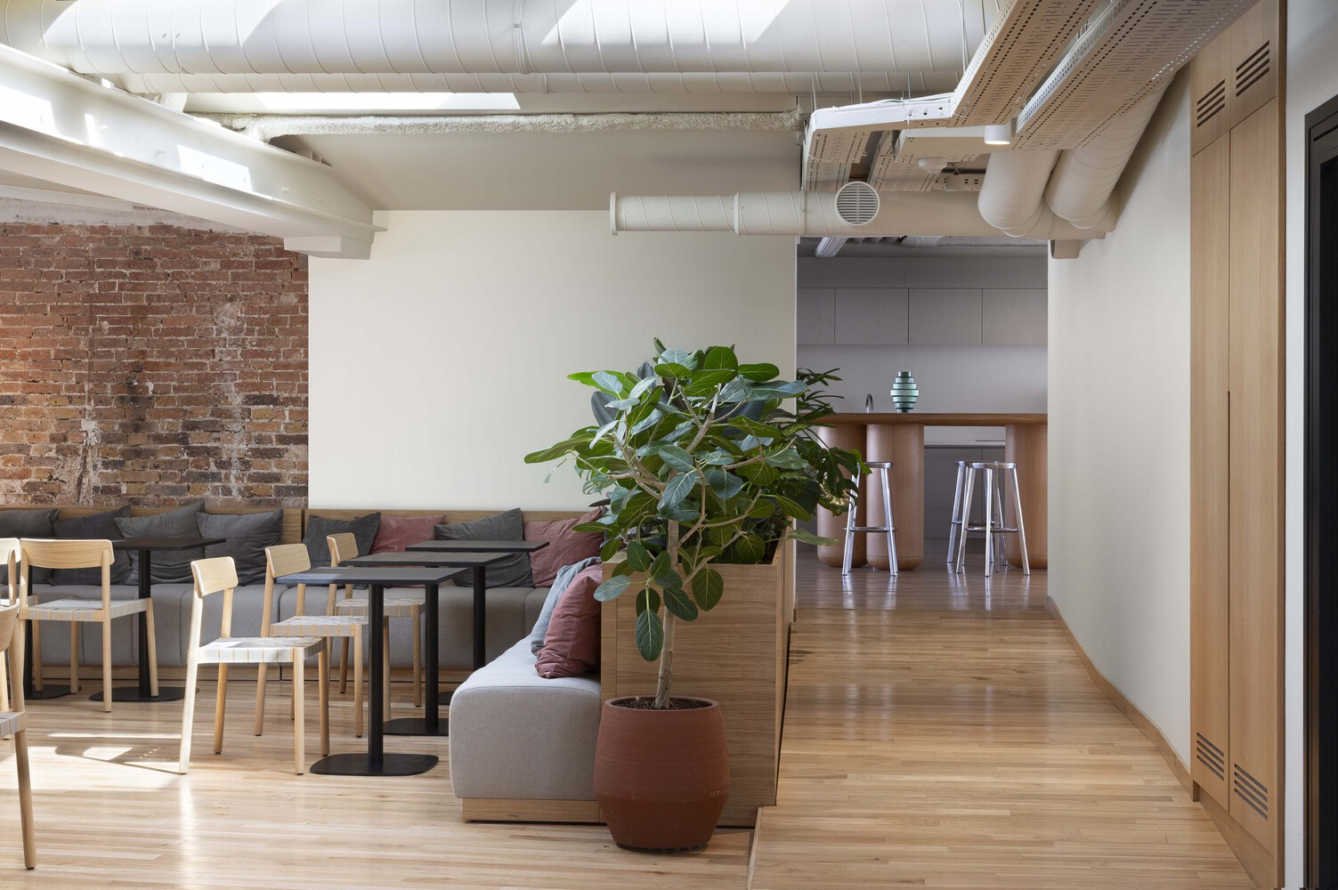 After: open office with exposed brick wall, oak floors, fiddle-leaf fig in terracotta planter, grey kitchen beyond