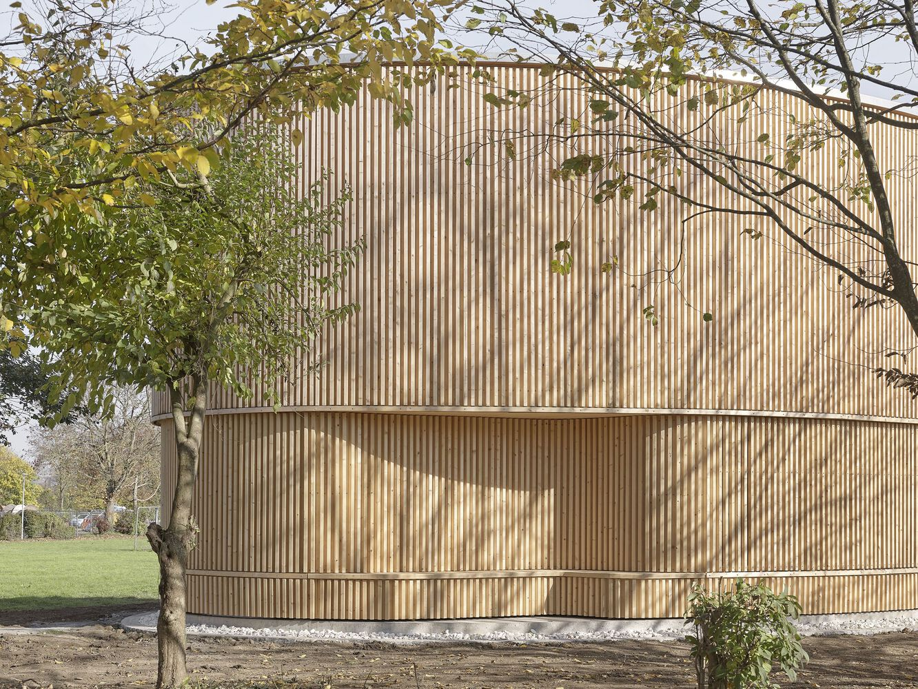 Vertical wood slat cladding wrapping the curved exterior wall with tree branches overhead