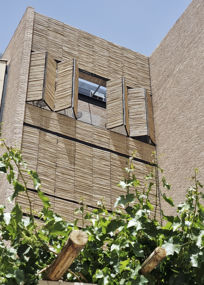 Facade clad in horizontal ribbed panels with angled window shutters above climbing vines