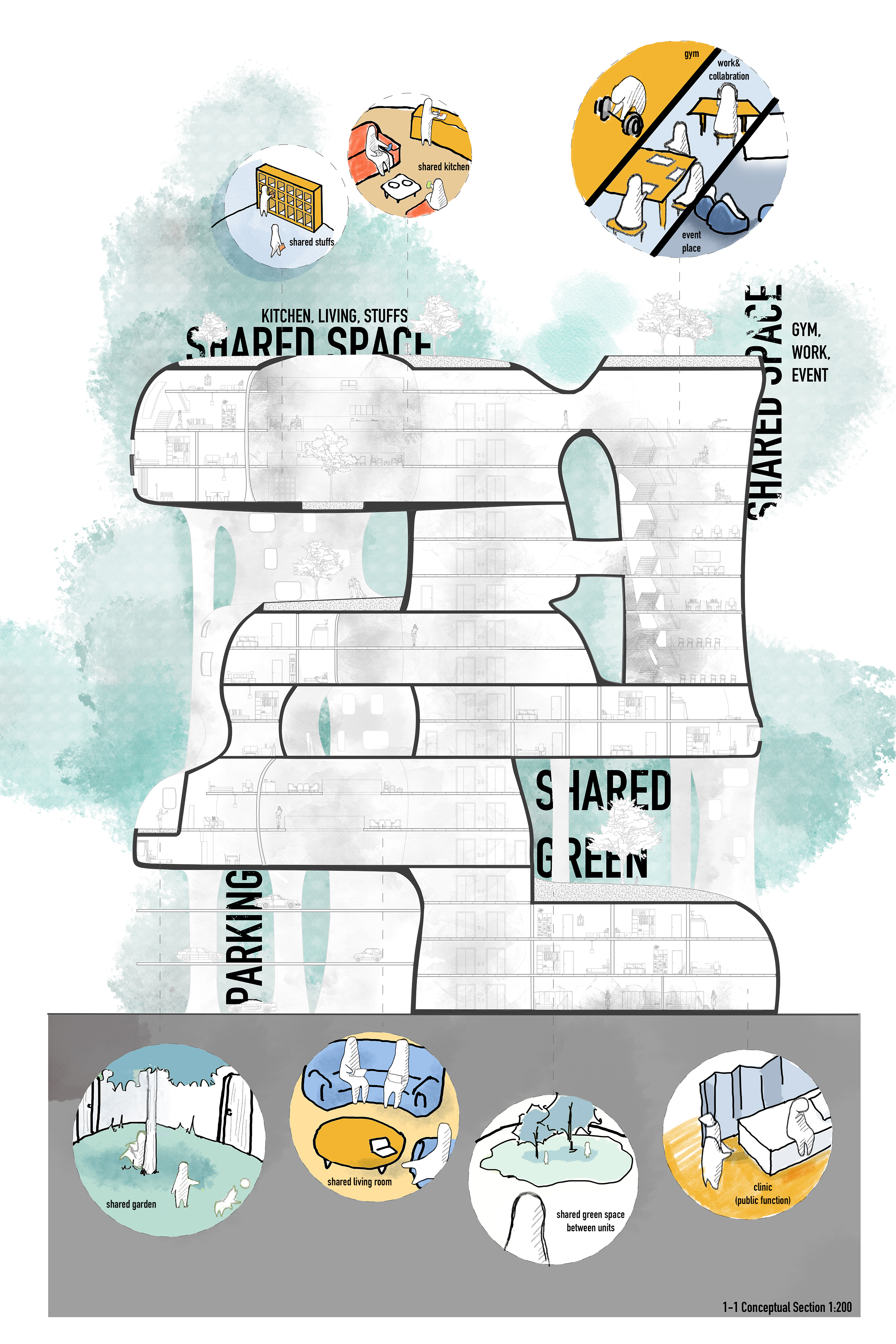 Conceptual section through the tentacle form labelled by zone: shared kitchen and living spaces, gym and work and event areas, shared green, and parking at the base, with vignette callouts for each programme
