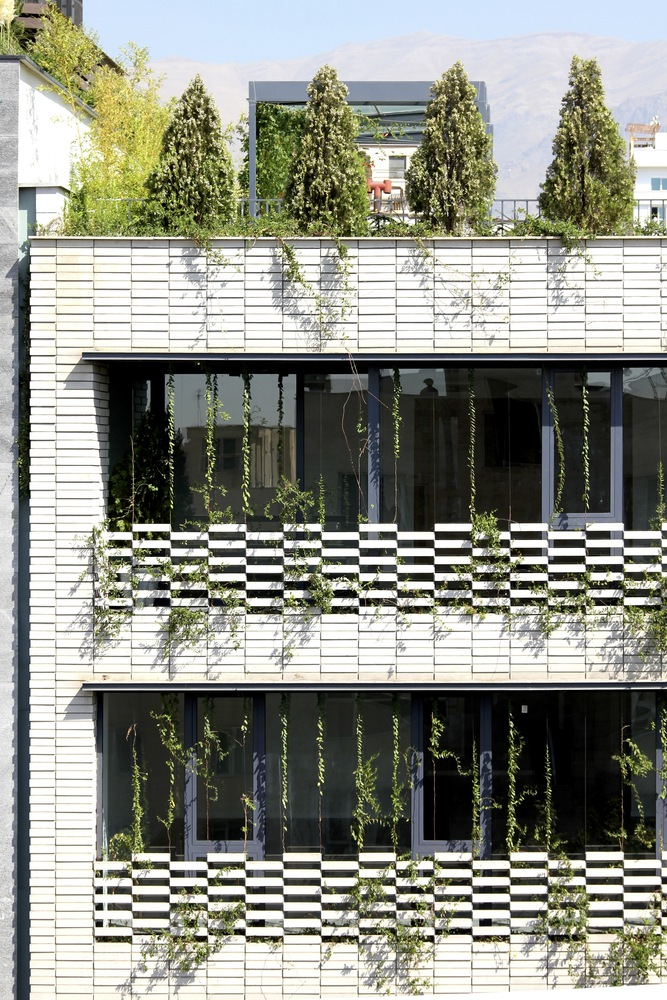 Facade detail: white cladding with perforated metal balcony screens in a hexagonal pattern, climbing vines, black steel window frames