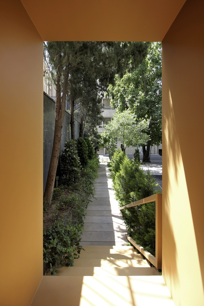 Side passage: warm yellow door reveal, stepping stones leading between planted zones, trees casting shadows on the paving