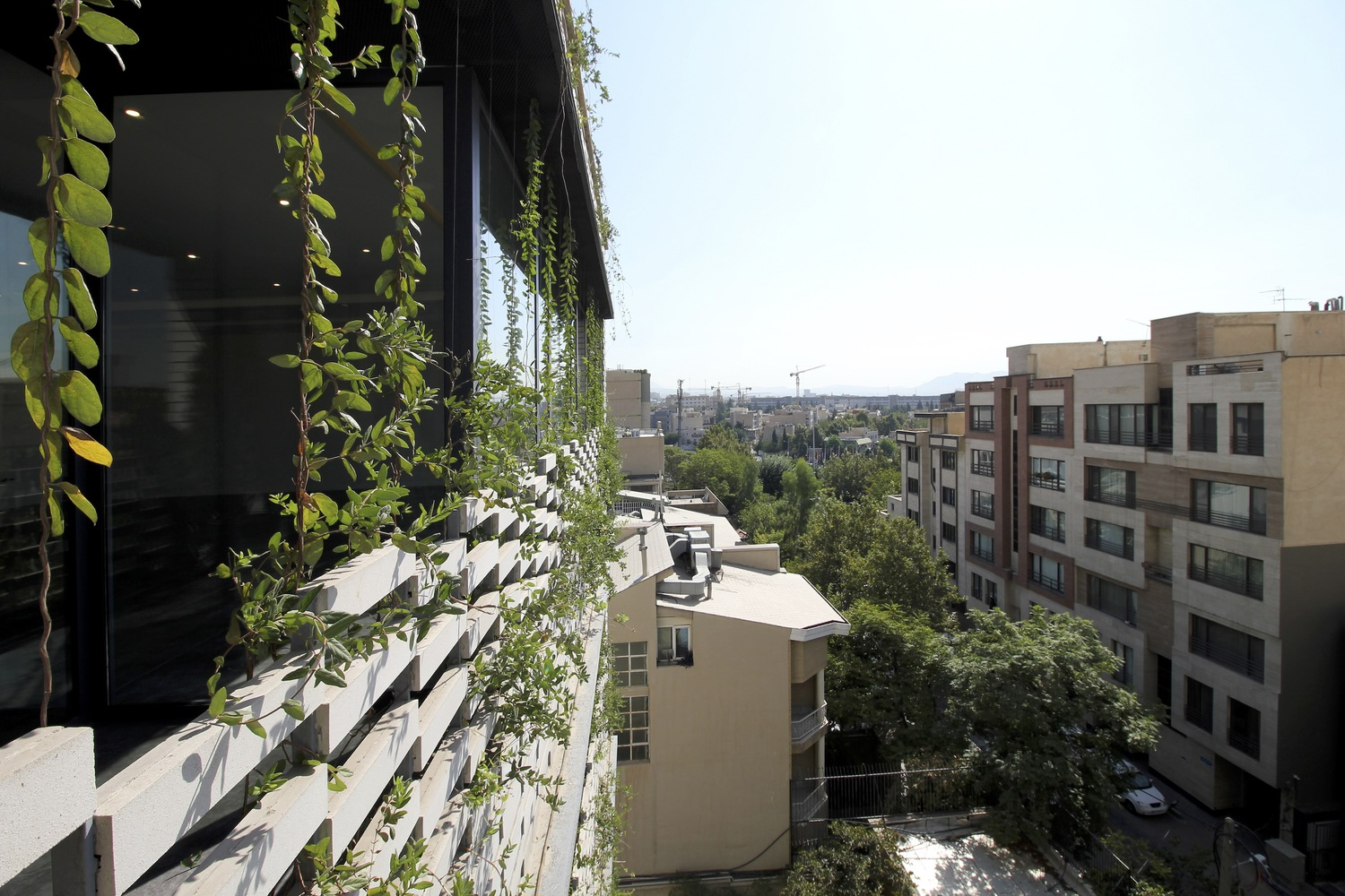 Side facade with vines: climbing vines cascading over the white perforated balcony panels, neighbouring apartment buildings visible, clear sky