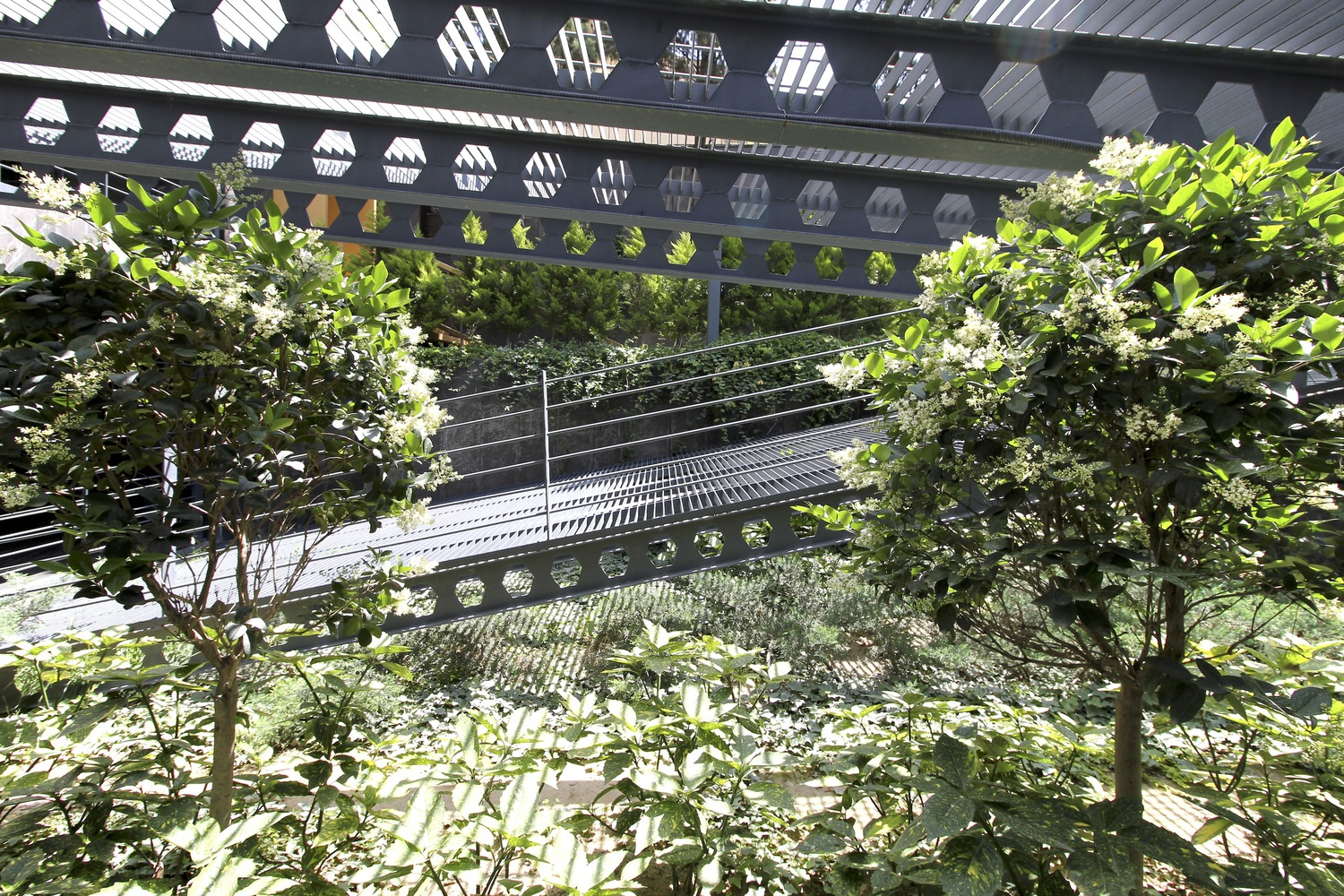 Screen interior: looking out through the perforated chevron panels, vines and tree foliage, cable railing, filtered daylight