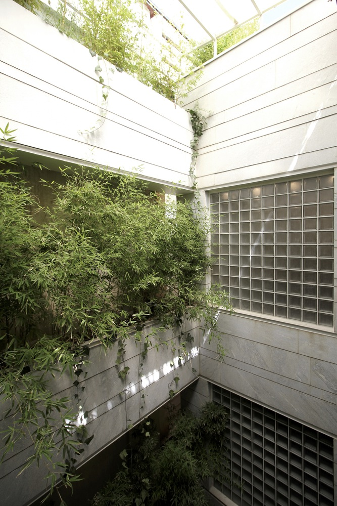 Interior light well: double-height concrete void with climbing vines on the walls and a glass floor grating at the bottom, natural light from above