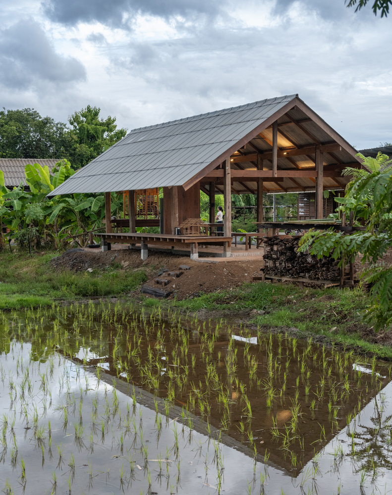 Elevated timber pavilion with metal roof beside flooded rice field reflecting the structure