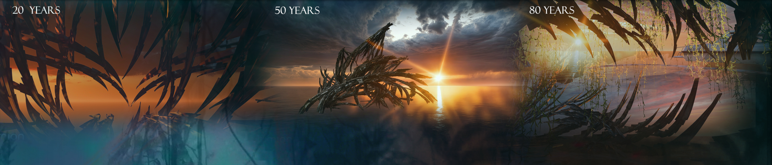 Time-Lapse Evolution: Progression from 20 to 80 years as the Cathedral transforms into a thriving ecosystem.