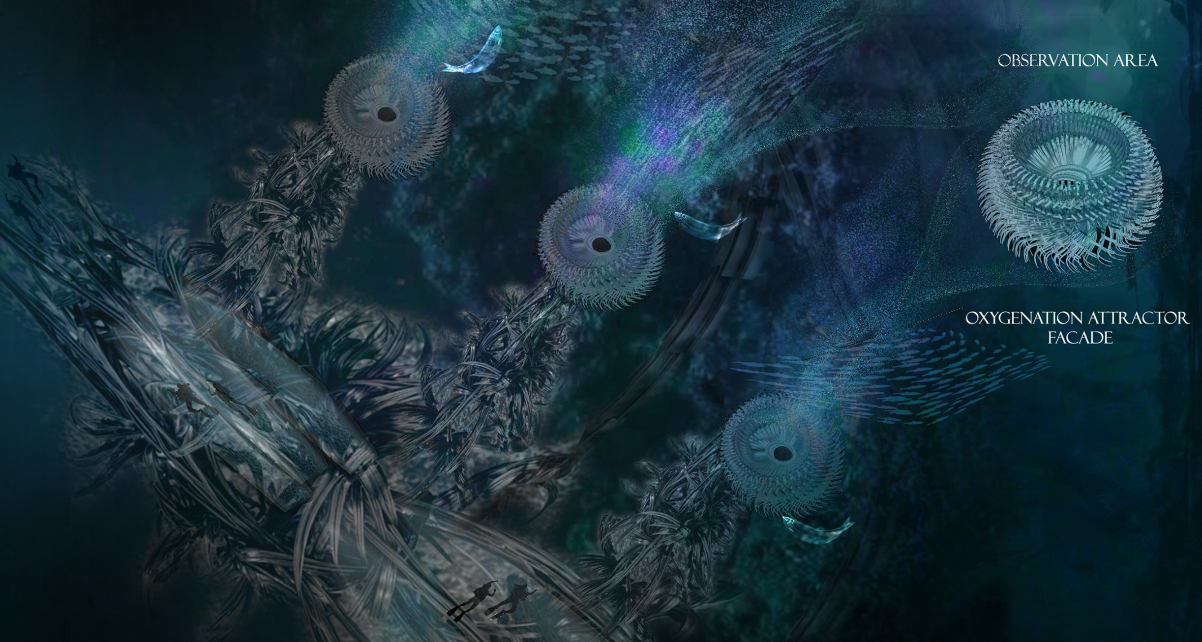 Observation Zones: Vibrant viewing decks designed to draw visitors into the biodiversity of the kelp forests.