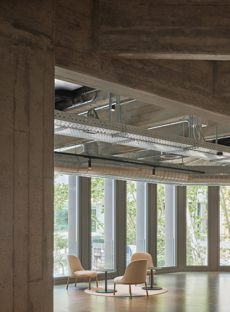 Ground floor plan: open showroom, courtyard with trees, stair core, reception, street trees on all sides