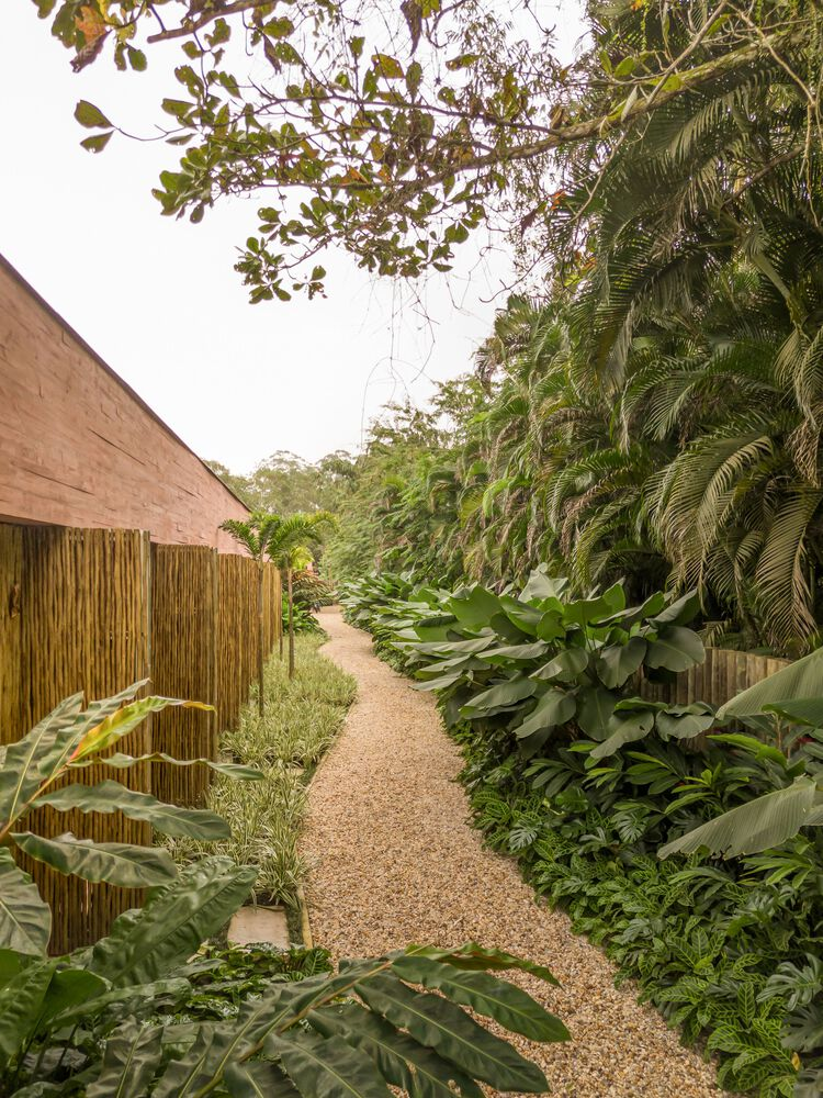 Gravel pathway lined with bamboo fencing and dense tropical plantings leading past timber slat wall
